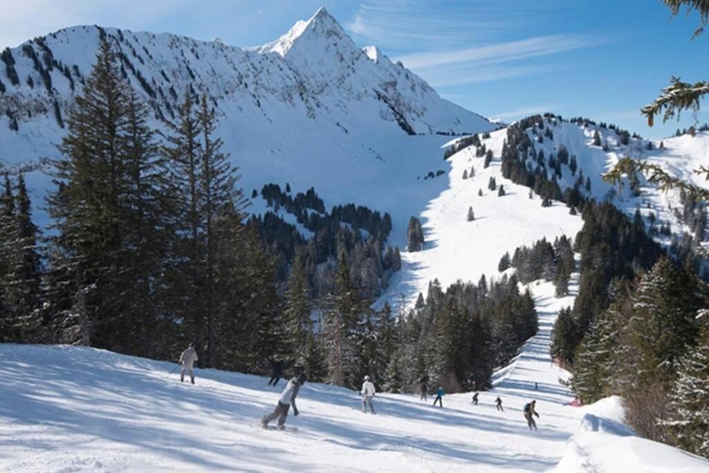 Les Cimes, Chaleureux Studio 4 Pers, 50M Du Telecabine, Vue Degagee Sur Les Pistes, Draps Non Compris Saint-Jean-d'Aulps Luaran gambar