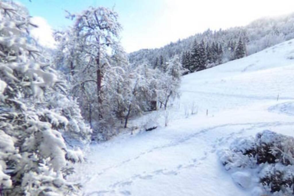 Les Cimes, Chaleureux Studio 4 Pers, 50M Du Telecabine, Vue Degagee Sur Les Pistes, Draps Non Compris Saint-Jean-d'Aulps Luaran gambar