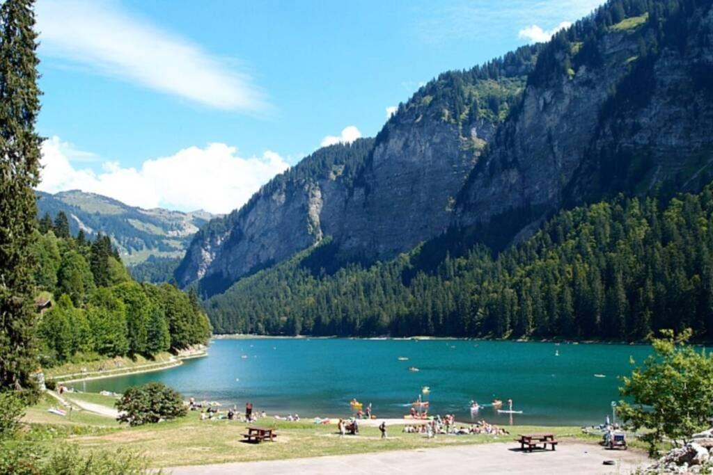 Les Cimes, Chaleureux Studio 4 Pers, 50M Du Telecabine, Vue Degagee Sur Les Pistes, Draps Non Compris Saint-Jean-d'Aulps Luaran gambar