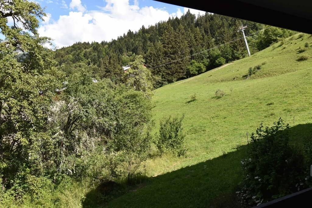 Les Cimes, Chaleureux Studio 4 Pers, 50M Du Telecabine, Vue Degagee Sur Les Pistes, Draps Non Compris Saint-Jean-d'Aulps Luaran gambar